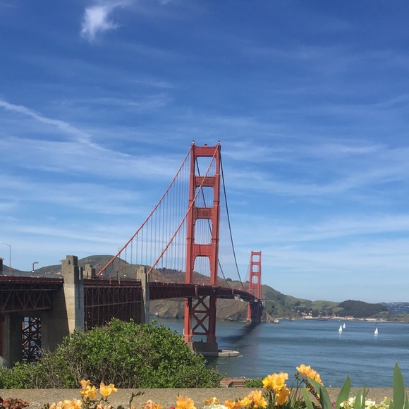 Meet your Posher, Marisol - Picture 2 of 11